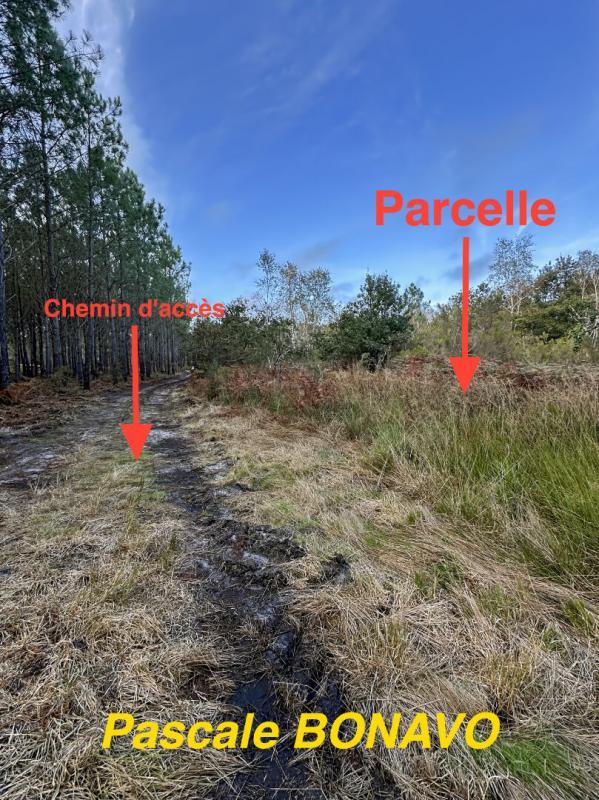 Terrain de loisirs - 2 770 m²