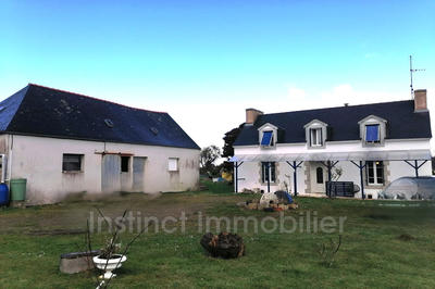 Ferme - 498 m² - 6 pièces