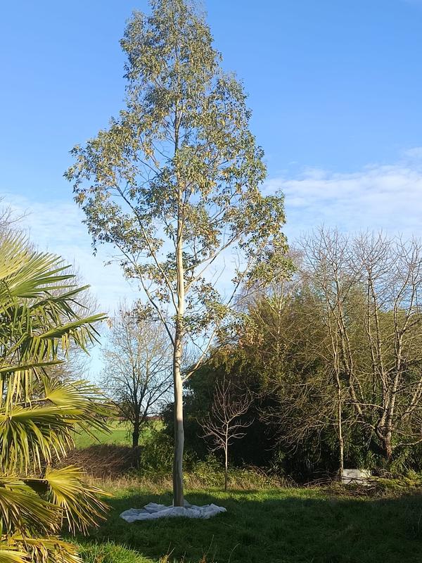 Printemps en Charente, stage de piano 3 jours intensifs