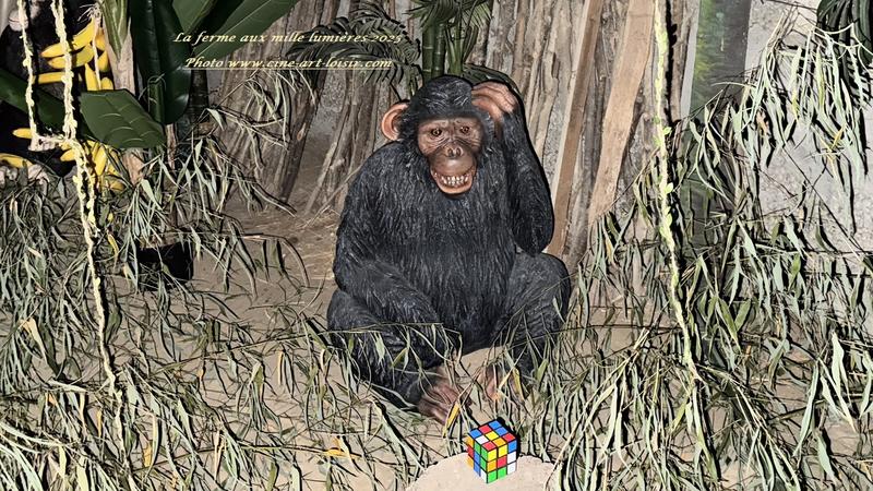 Le monde enchanté de la Ferme aux Mille Lumières 2025 à Fitilieu