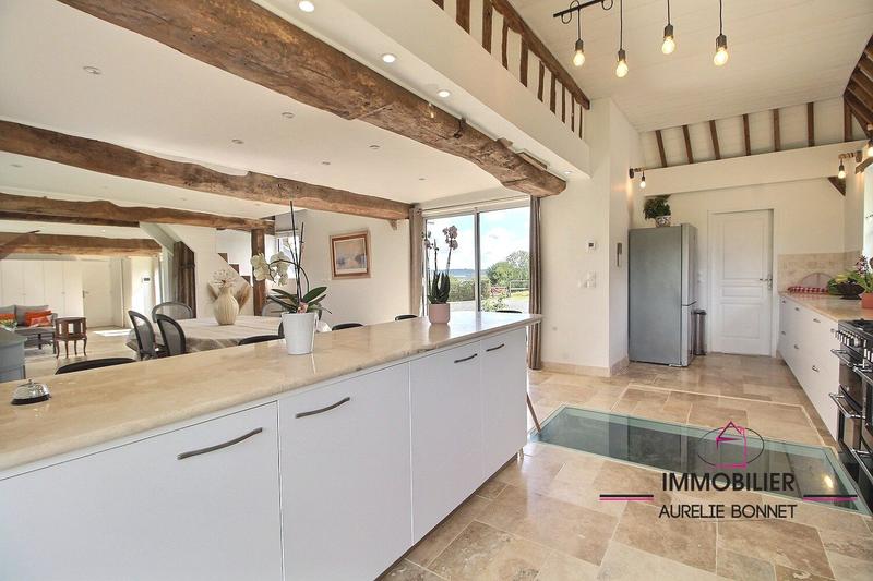 Maison ancienne - 380 m² - 12 pièces