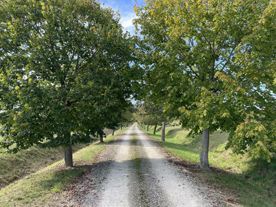 Propriété - 600 m² - 12 pièces