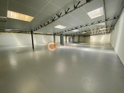 Local d'activité / Entrepôt - 694 m²