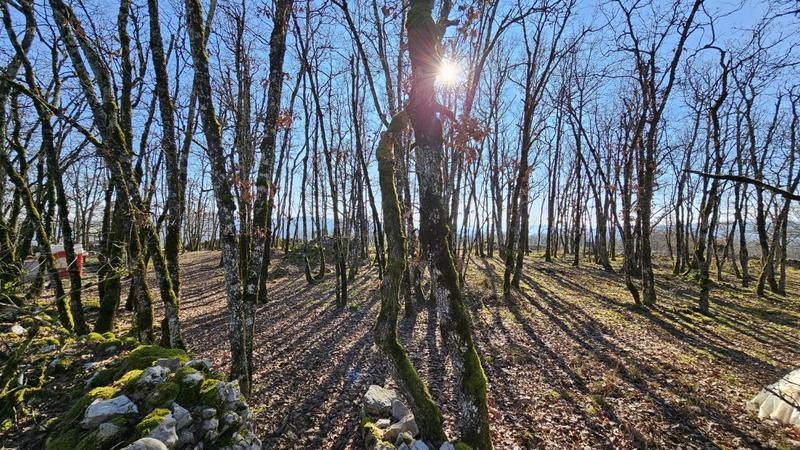 Terrain - 80 524 m²