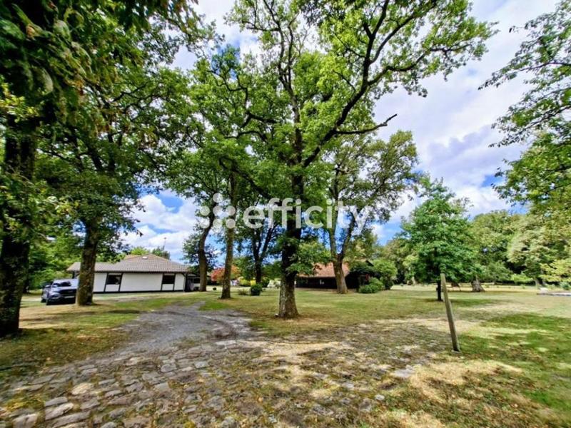 Demeure - 262 m² - 12 pièces