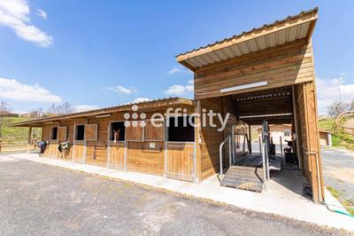 Bureau - 55 m² - 3 pièces