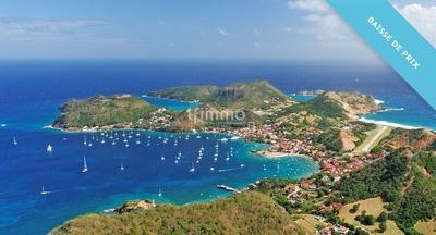 Hôtel particulier - 874 m² - 18 pièces