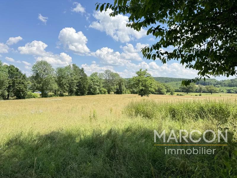 Propriété - 239 m² - 9 pièces