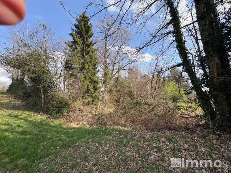 Terrain agricole - 4 905 m²