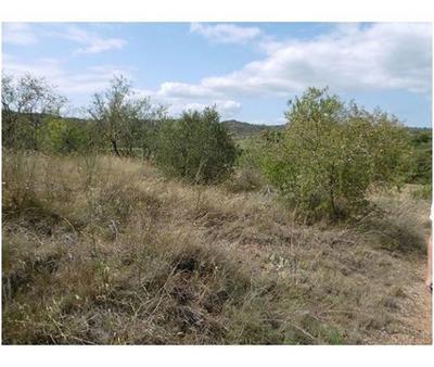 Terrain - 12 265 m²