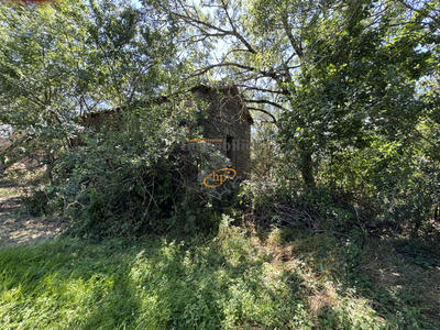 Terrain de loisirs - 811 m²