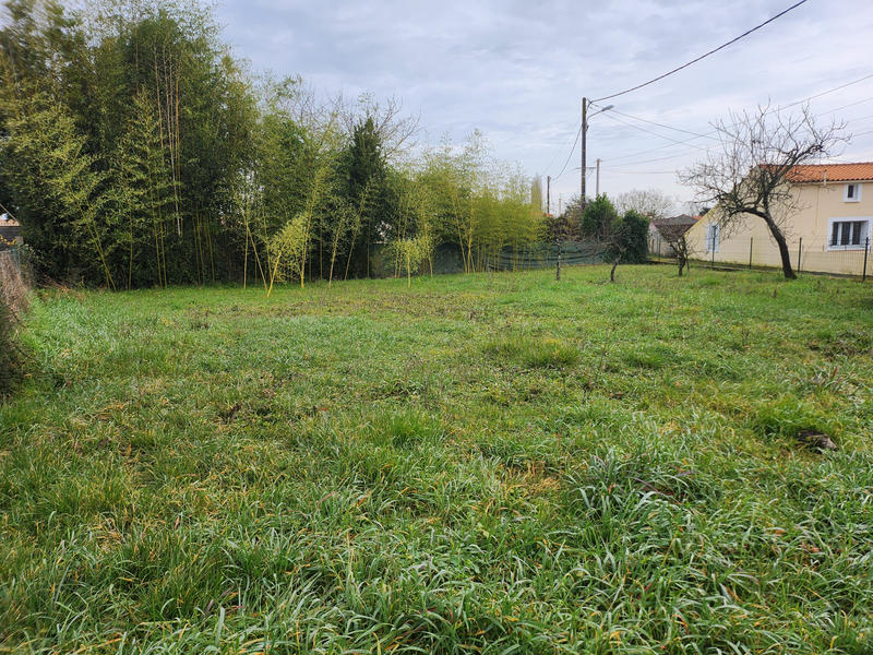 Terrain - 290 m²