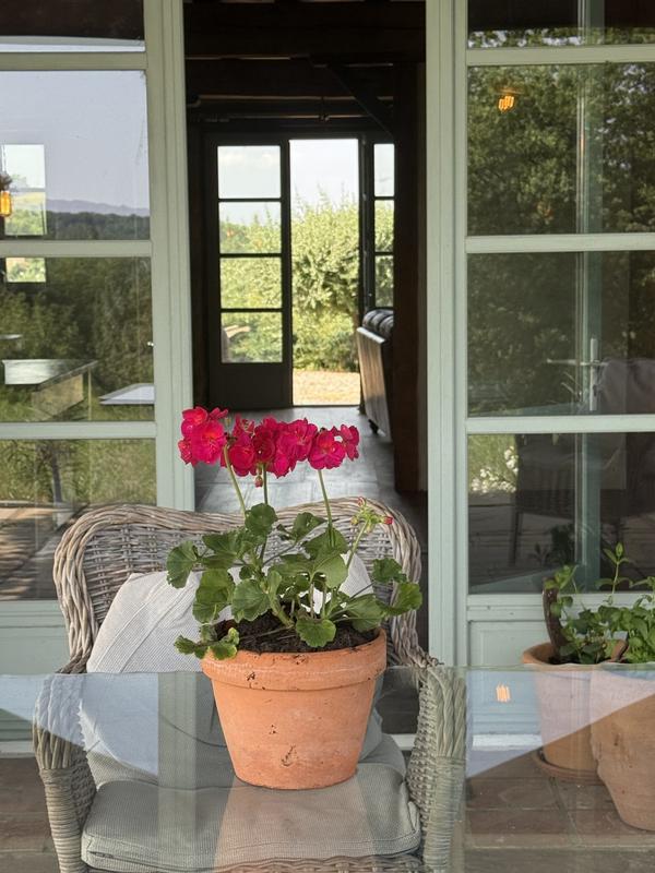 Maison ancienne - 370 m² - 8 pièces