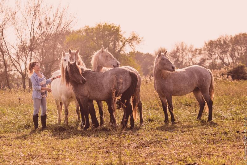 Visitez une manade de juments de race Camargue