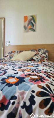 Appartement - 66 m² - 1 pièce