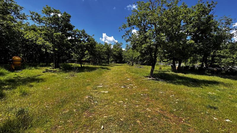 Terrain - 80 524 m²