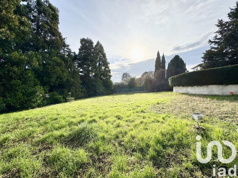 Terrain - 1 233 m²