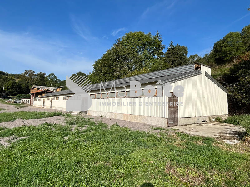 Local d'activité / Entrepôt - 500 m²