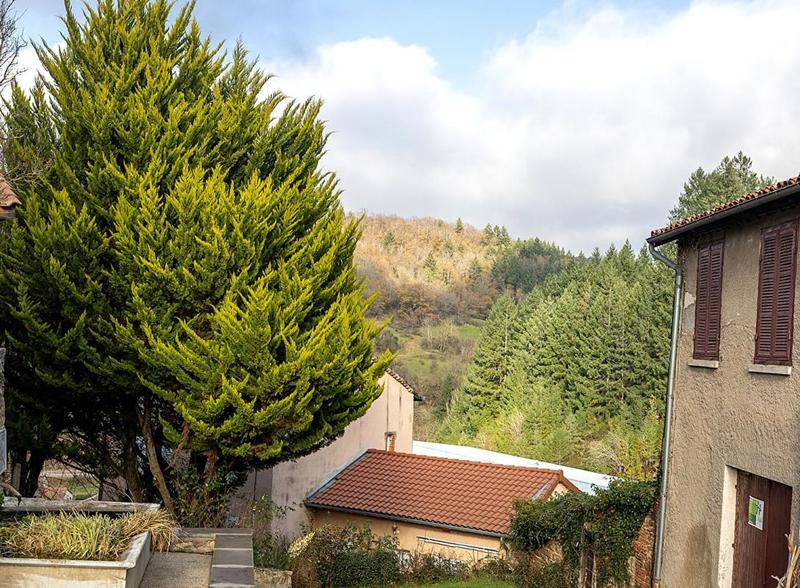 Maison - 300 m² - 10 pièces