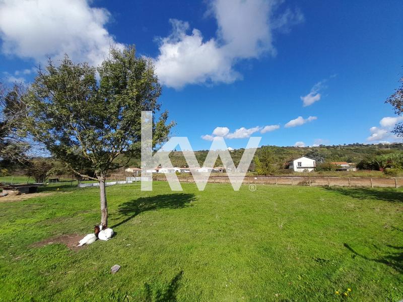 Terrain - 1 480 m²