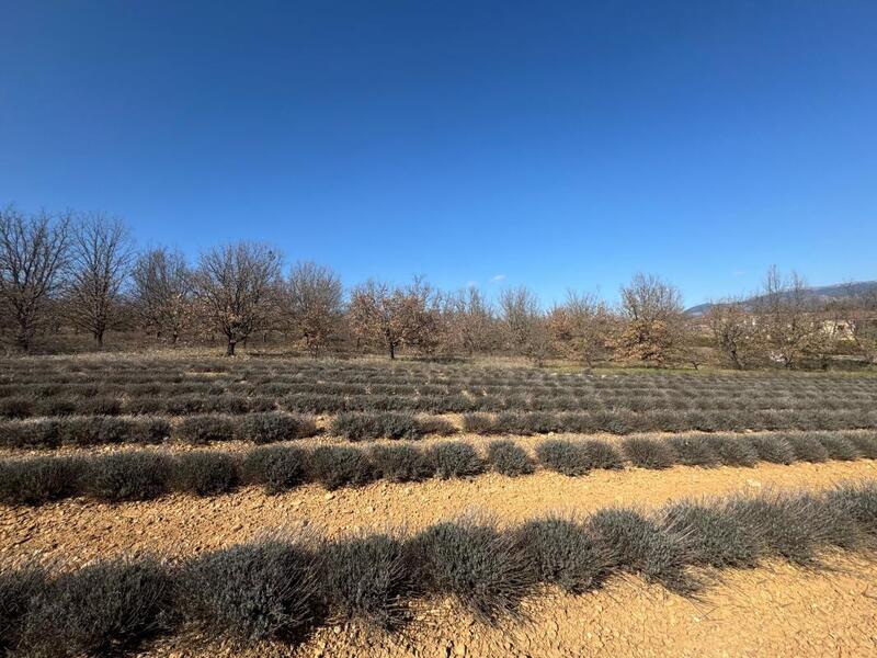 Terrain constructible - 612 m²