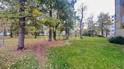 Appartement - 55 m² - 2 pièces