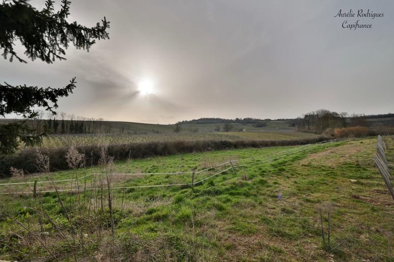 Maison - 136 m² - 5 pièces