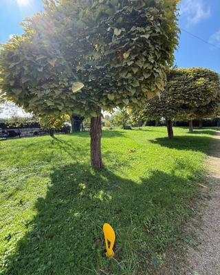 Terrain constructible - 448 m²