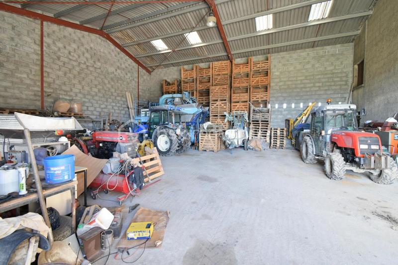 Terrain - 11 738 m²