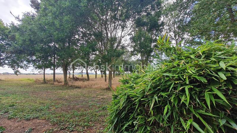 Pavillon - 95 m² - 5 pièces