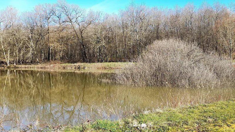 Propriété - 267 m² - 9 pièces