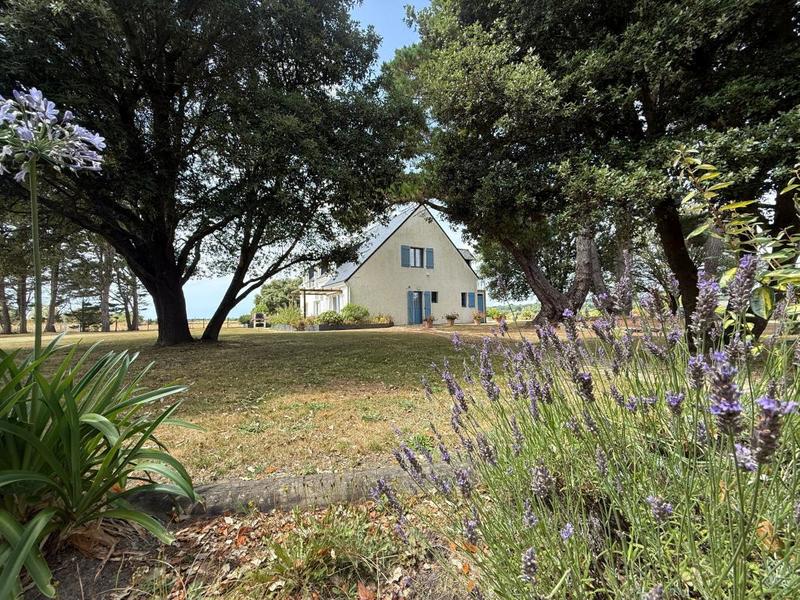 Maison de ville - 230 m² - 6 pièces