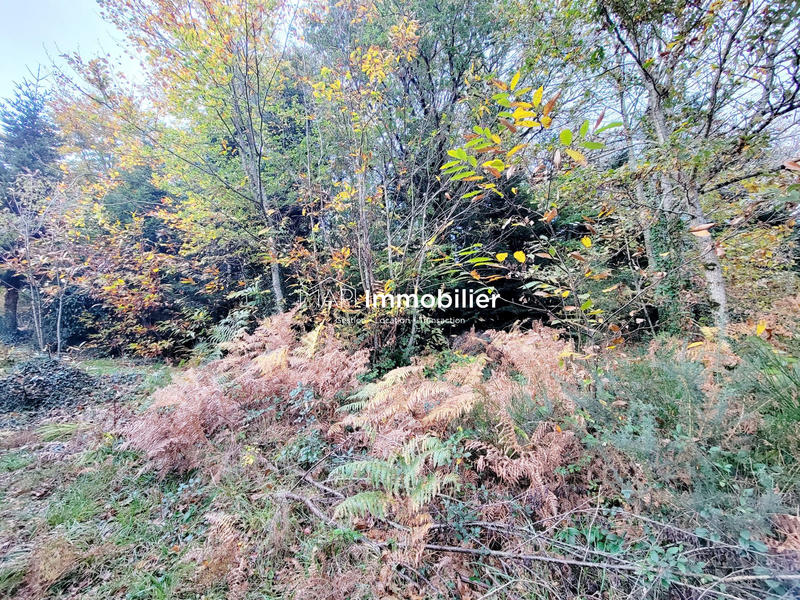 Maison ancienne - 96 m² - 3 pièces