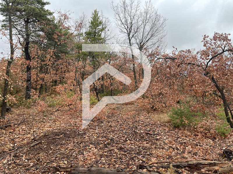 Terrain agricole - 37 641 m²