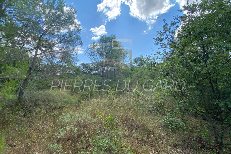 Terrain de loisirs - 8 898 m²