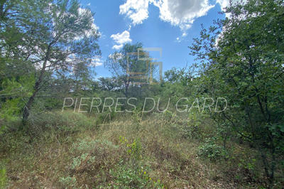 Terrain de loisirs - 8 898 m²