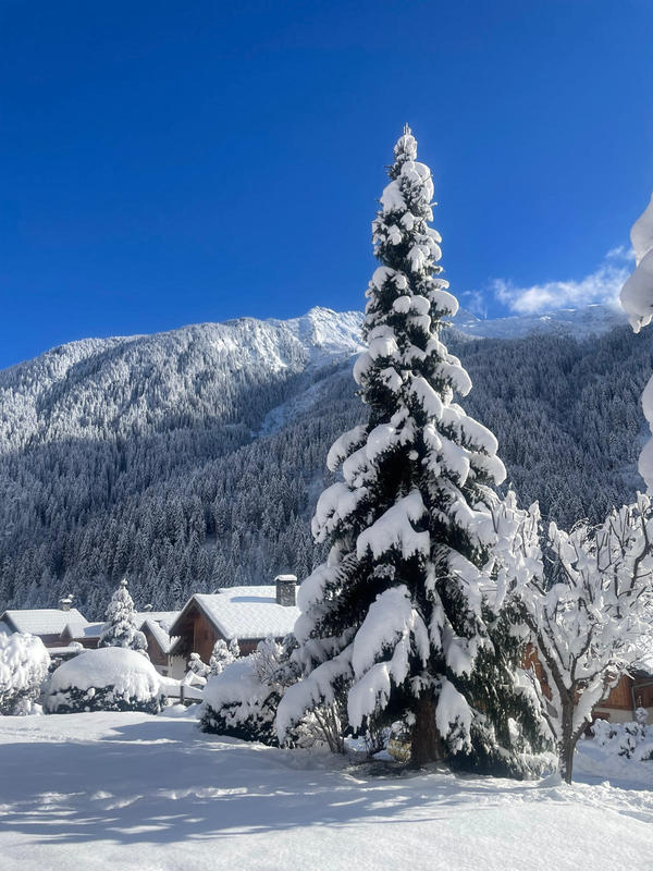 Maison - 176 m² - 7 pièces