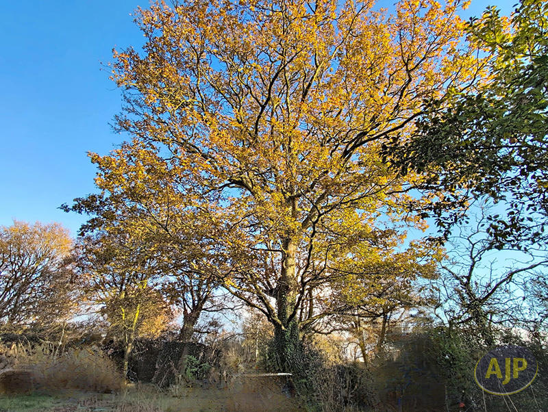 Maison - 128 m² - 5 pièces