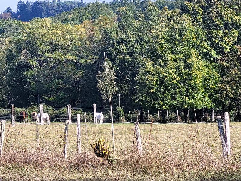 Terrain de loisirs - 90 000 m²