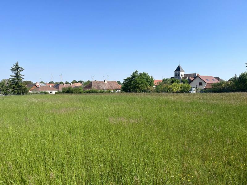 Terrain constructible - 7 090 m²