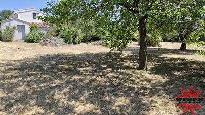 Terrain constructible - 1 089 m²
