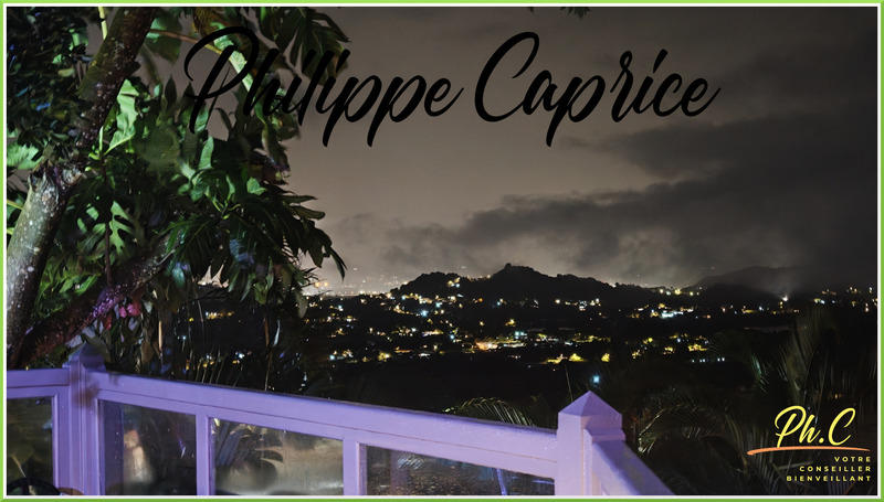 Maison - 366 m² - 8 pièces