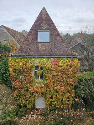 Maison de maîtres - 258 m² - 9 pièces