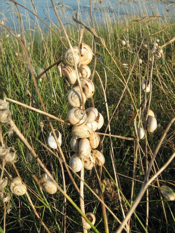 Découverte des dunes