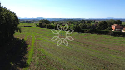 Terrain - 13 541 m²