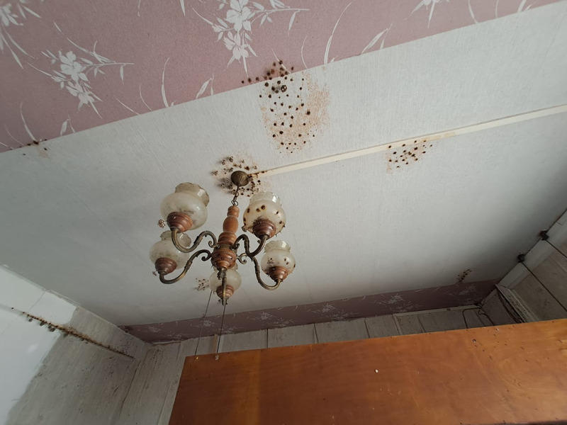 Immeuble - 271 m² - 8 pièces