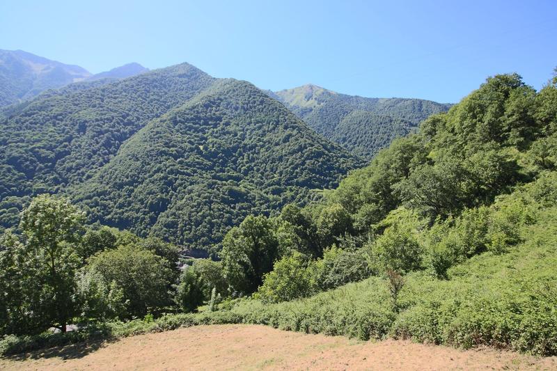 Maison - 131 m² - 6 pièces