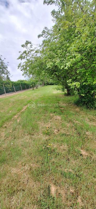 Terrain constructible - 1 950 m²