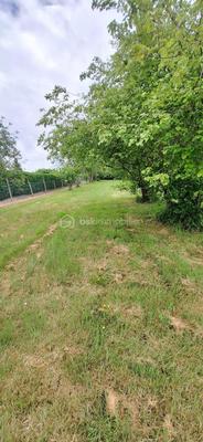 Terrain constructible - 1 950 m²
