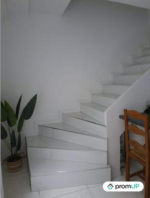 Duplex - 50 m² - 2 pièces